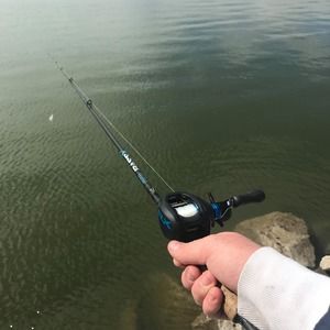 Meet your Posher, Colin